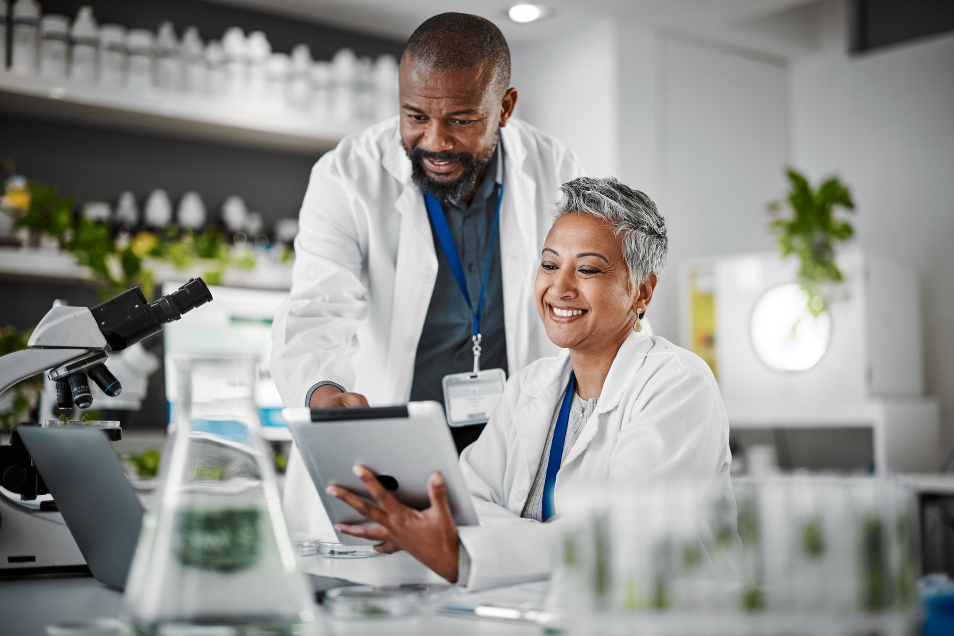 Trabajo en equipo, personas o tableta en laboratorio de biología, colaboración científica o investigación médica madura de ingeniería. Científico feliz, tecnología o sostenibilidad de plantas verdes para el crecimiento innovación agro
